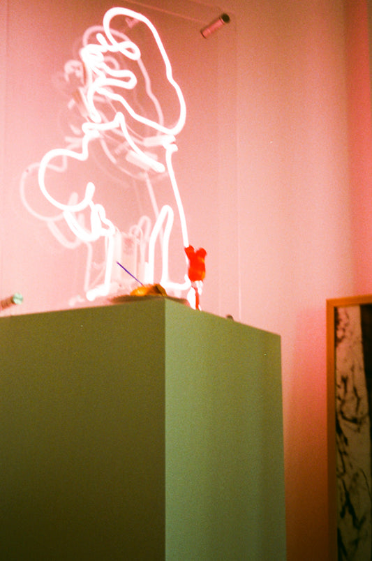 THE POODLE NEONLIGHT