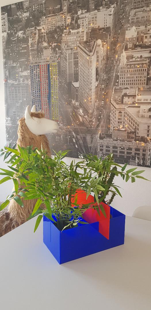 BAU.CACHEPOT (medio)