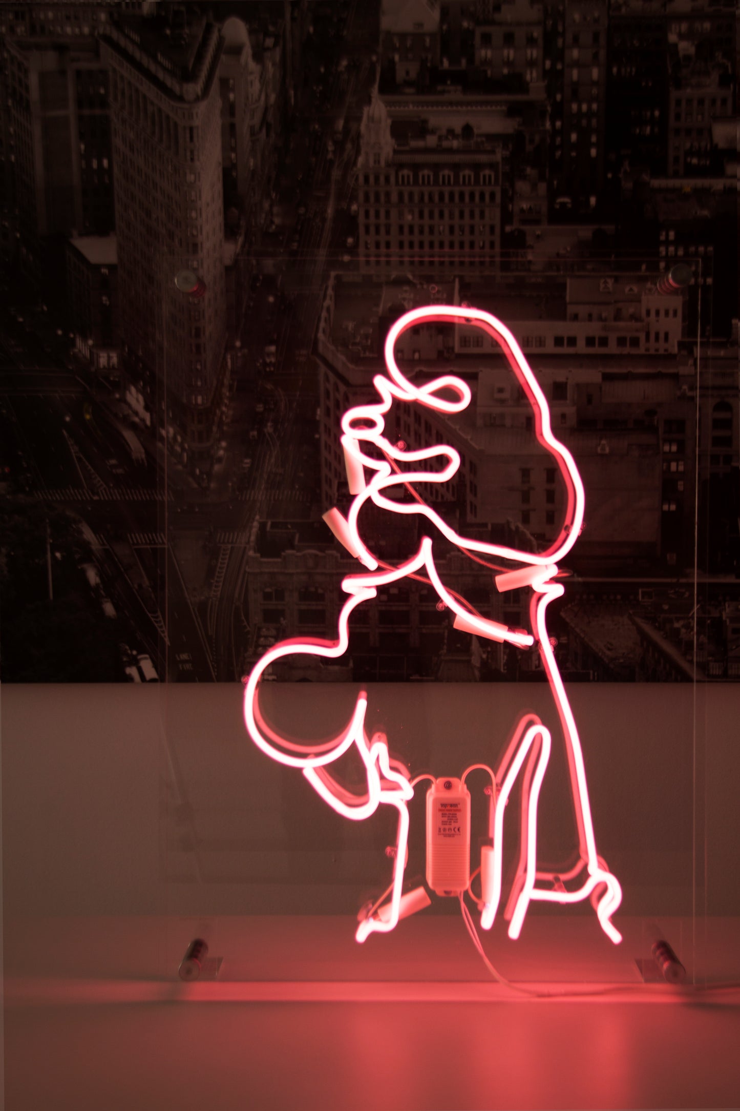 THE POODLE NEONLIGHT