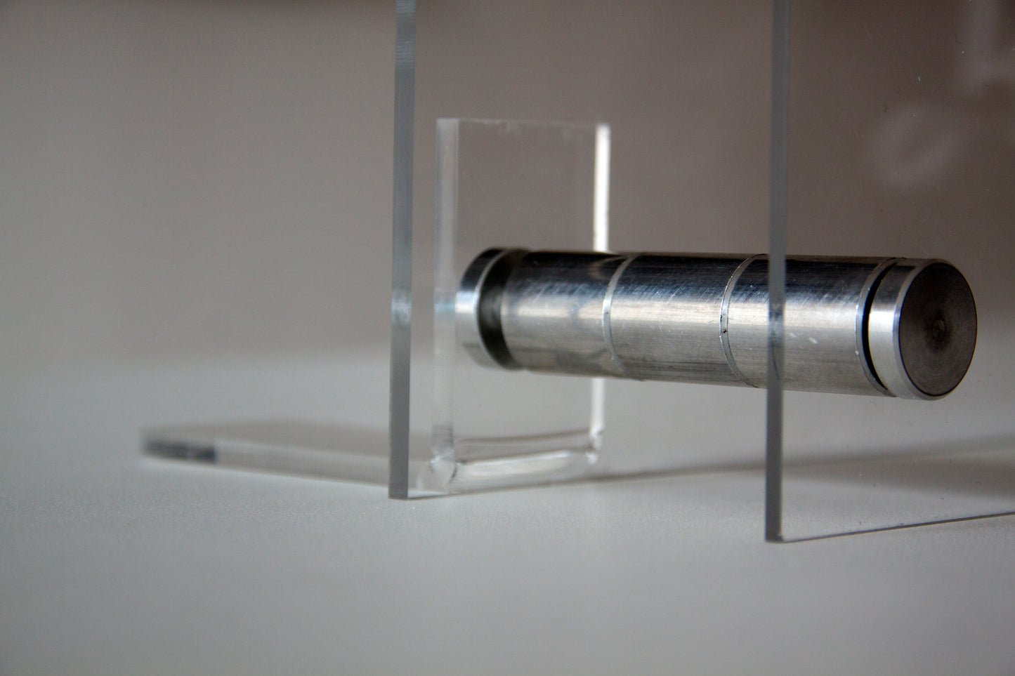 THE POODLE NEONLIGHT