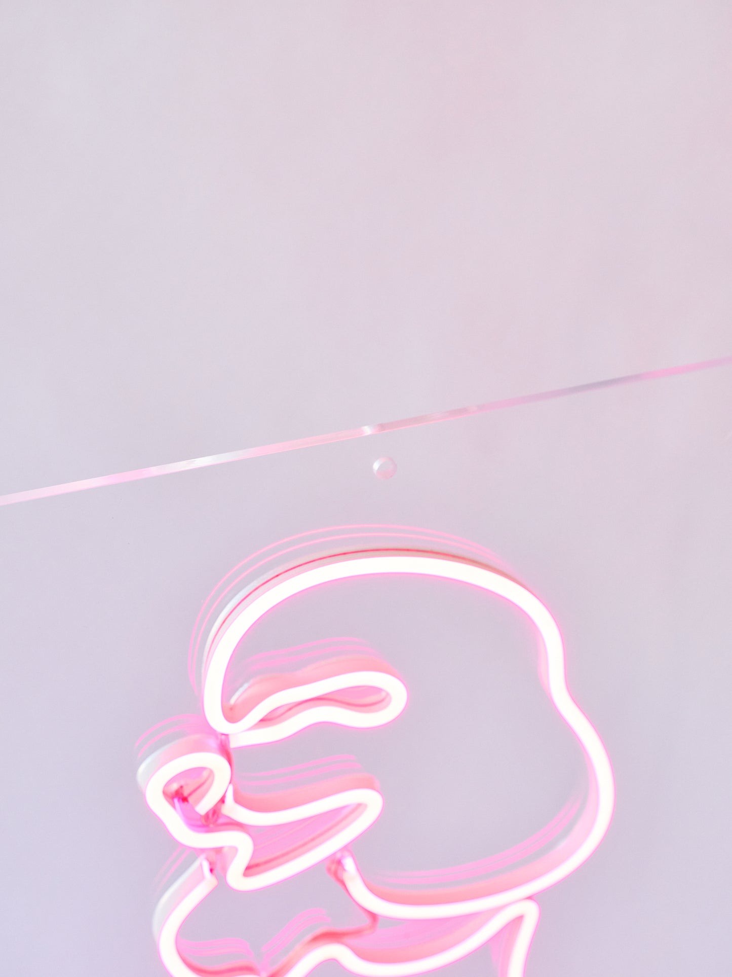 THE POODLE NEONLIGHT