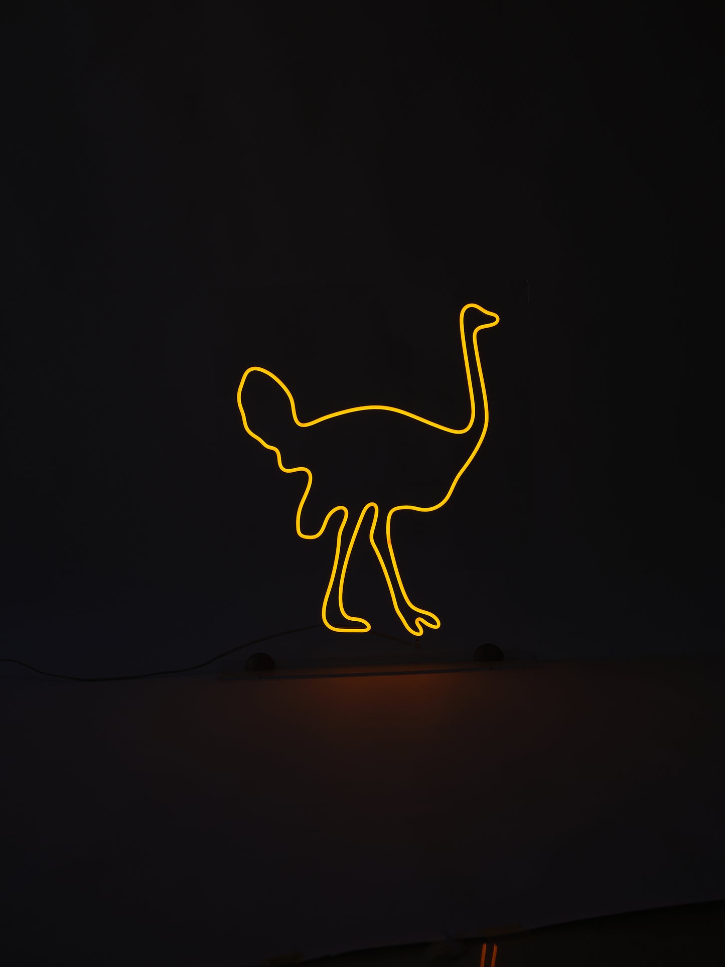 OSTRICH.STATUE/PAINTING LIGHT