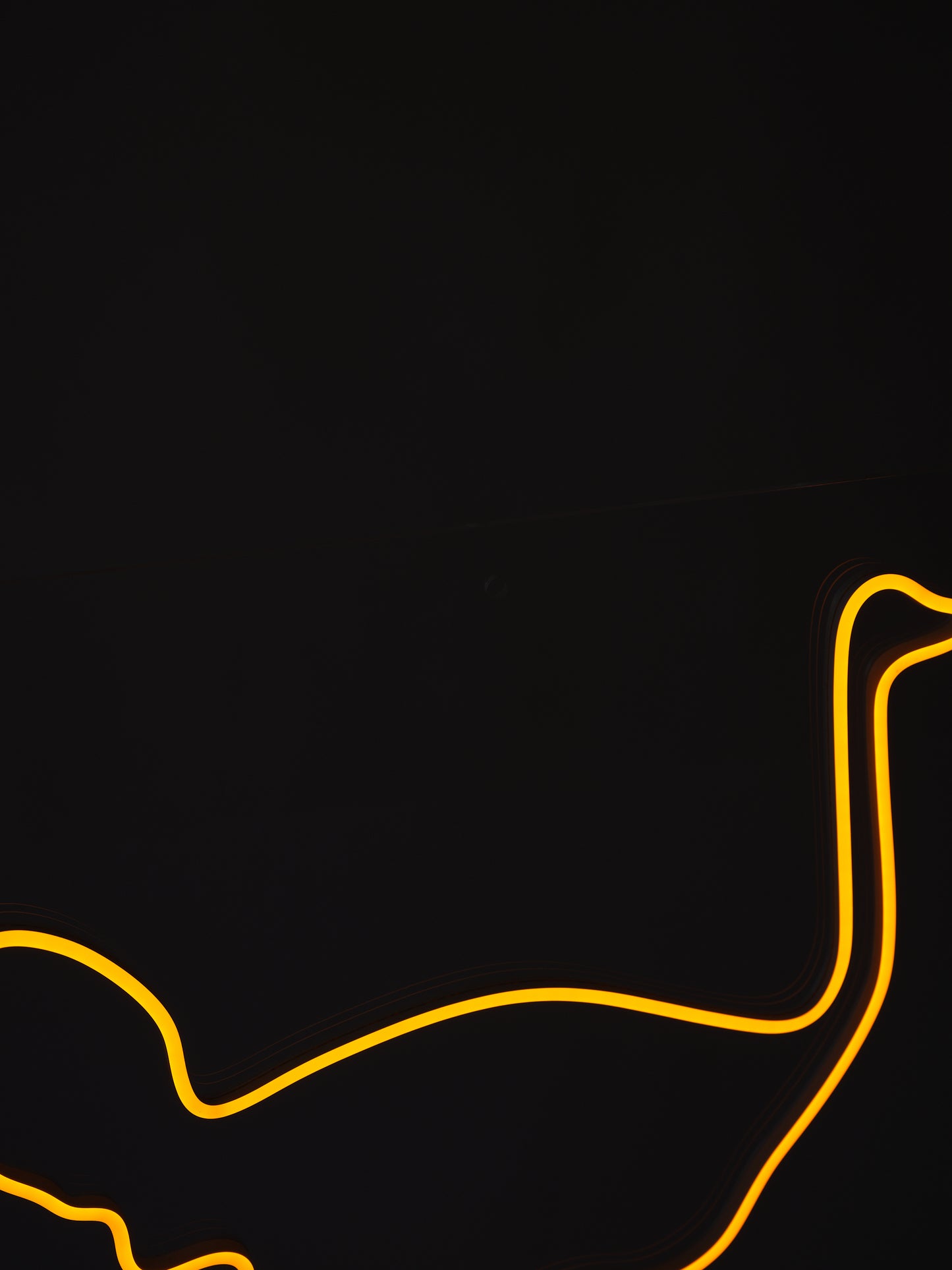 OSTRICH.STATUE/PAINTING LIGHT