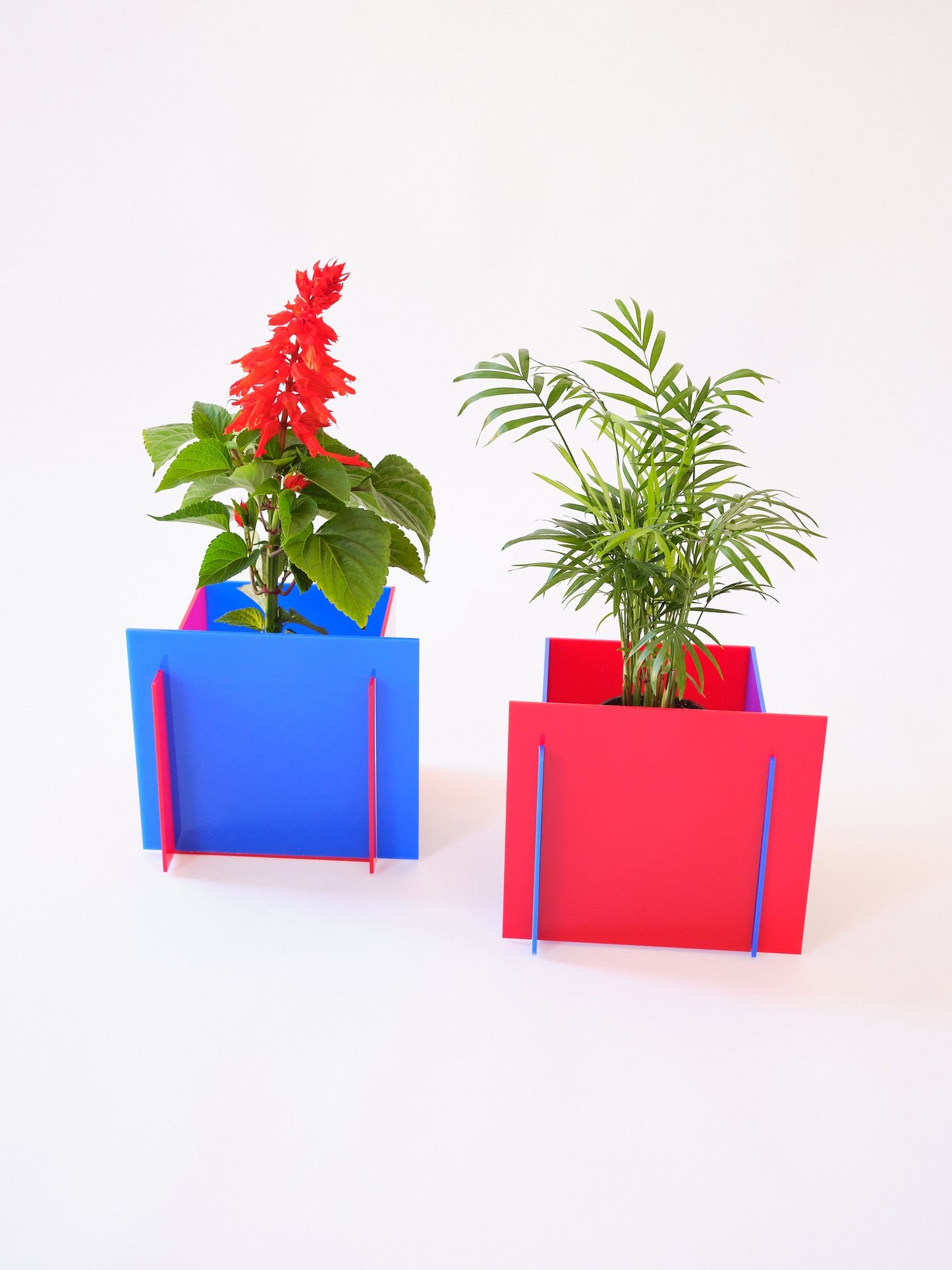 BAU.CACHEPOT (picollo)