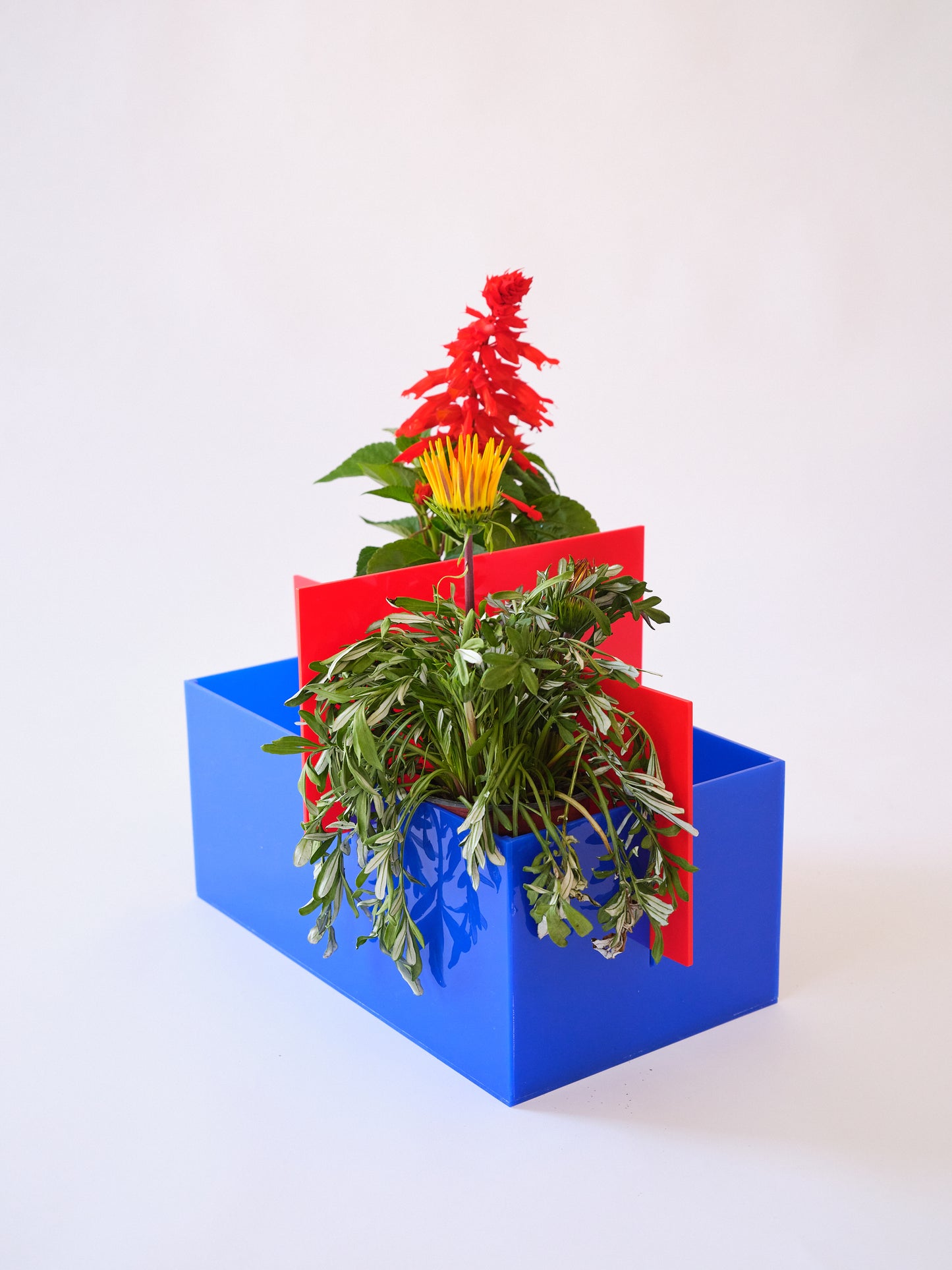 BAU.CACHEPOT (medio)