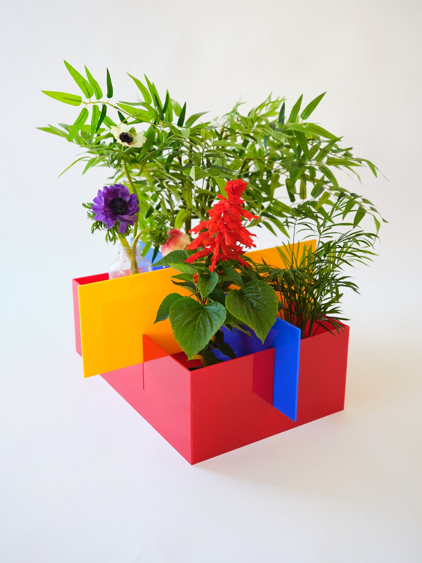 BAU.CACHEPOT (grande)