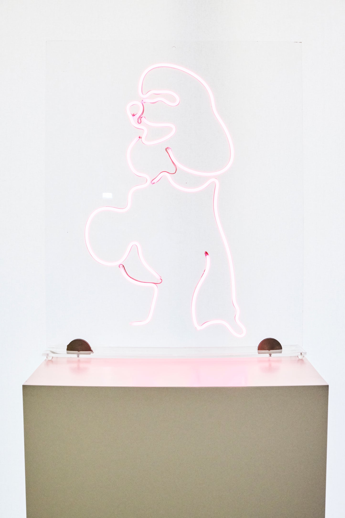 POODLE.STATUE/PAINTING LIGHT