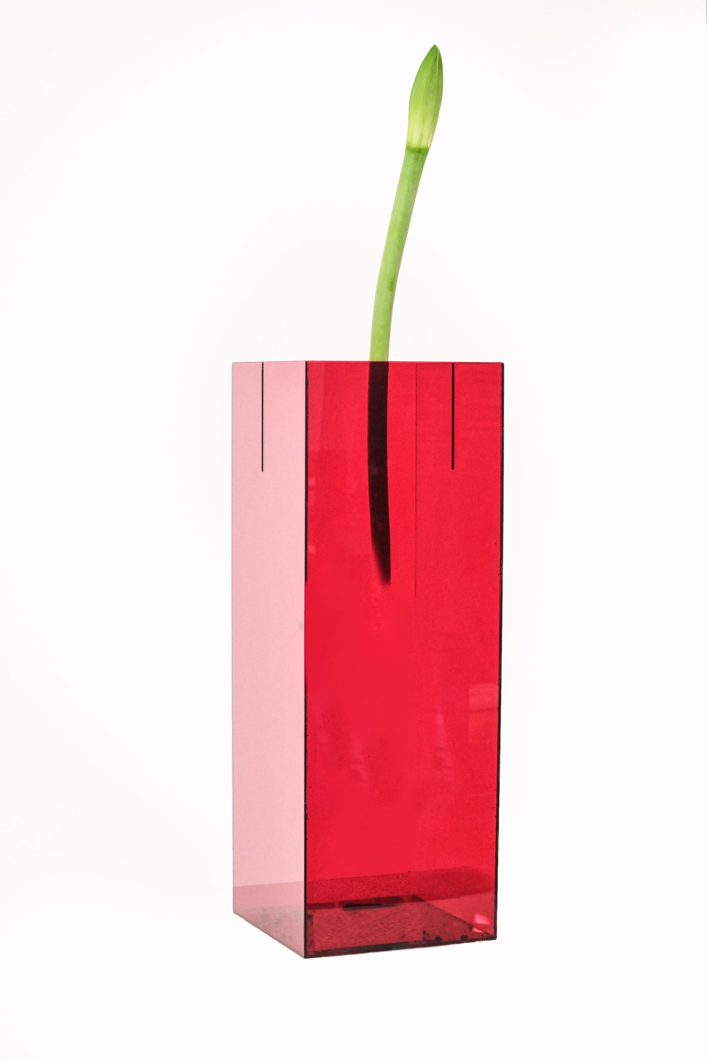 BAU VASE.REDBLUE