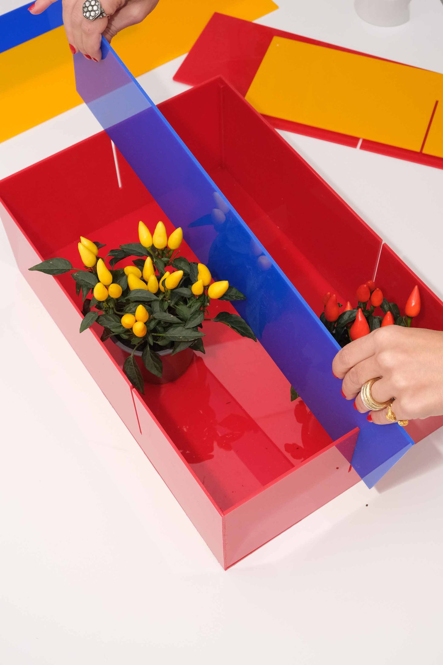 BAU.CACHEPOT (grande)