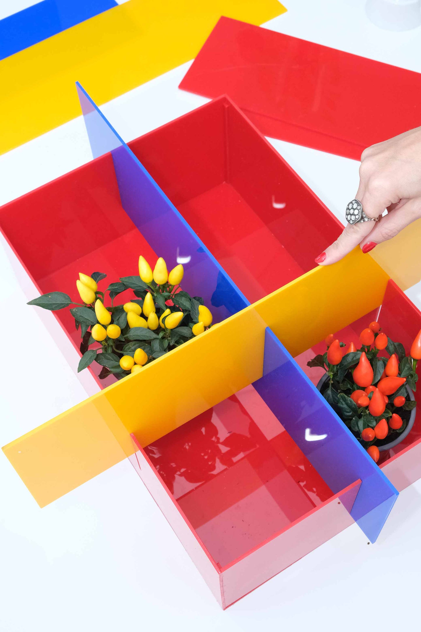 BAU.CACHEPOT (grande)