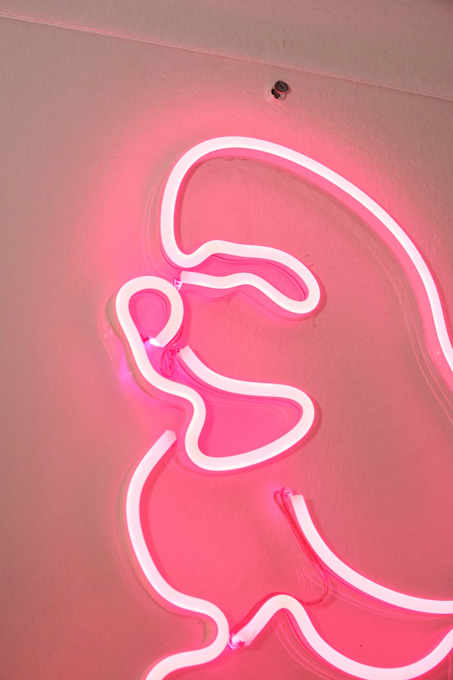 POODLE.STATUE/PAINTING LIGHT