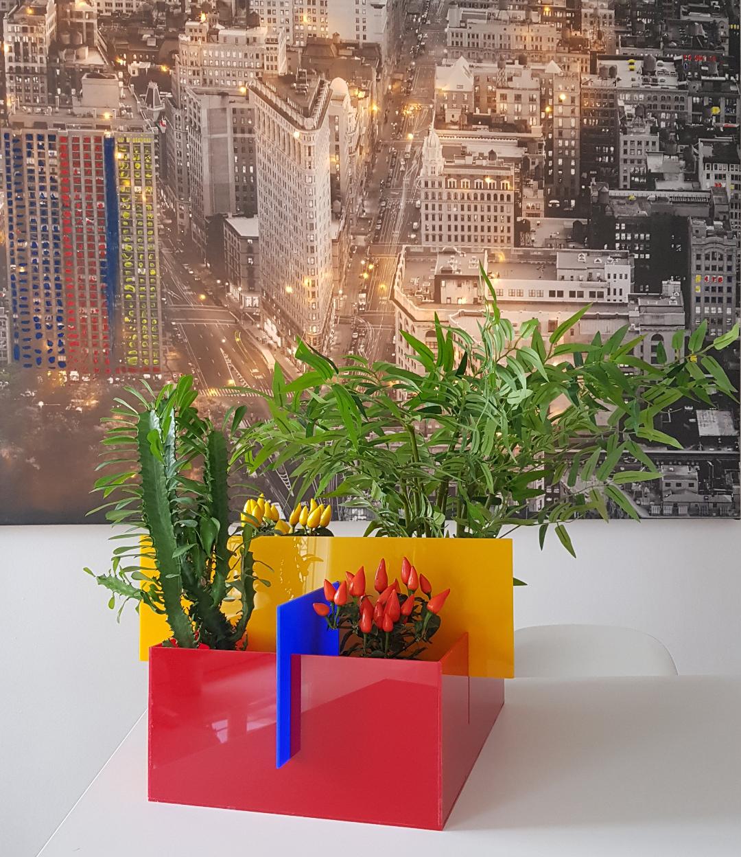 BAU.CACHEPOT (grande)