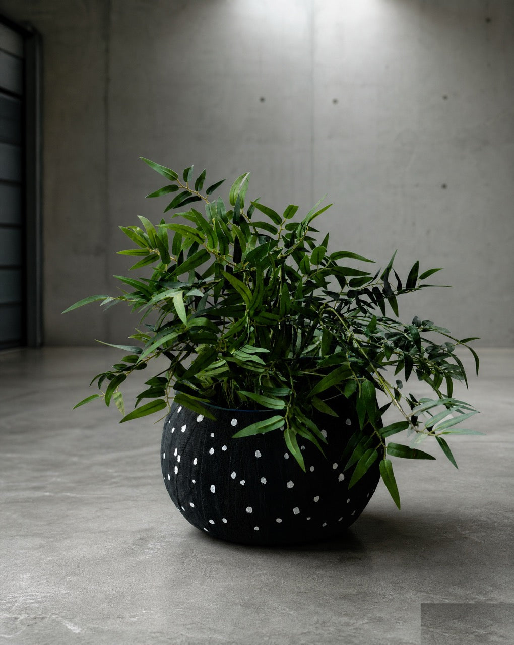 BLACK WHITE DOTS