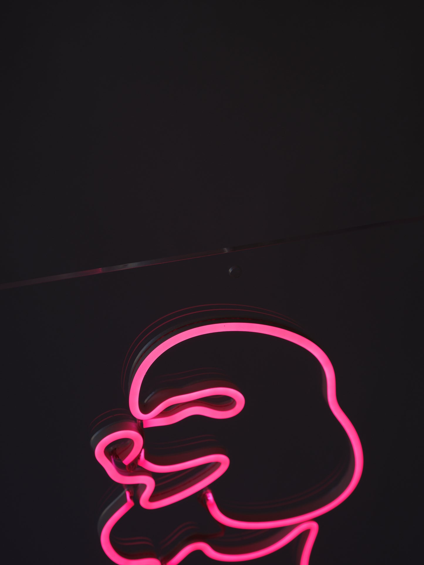 THE POODLE NEONLIGHT