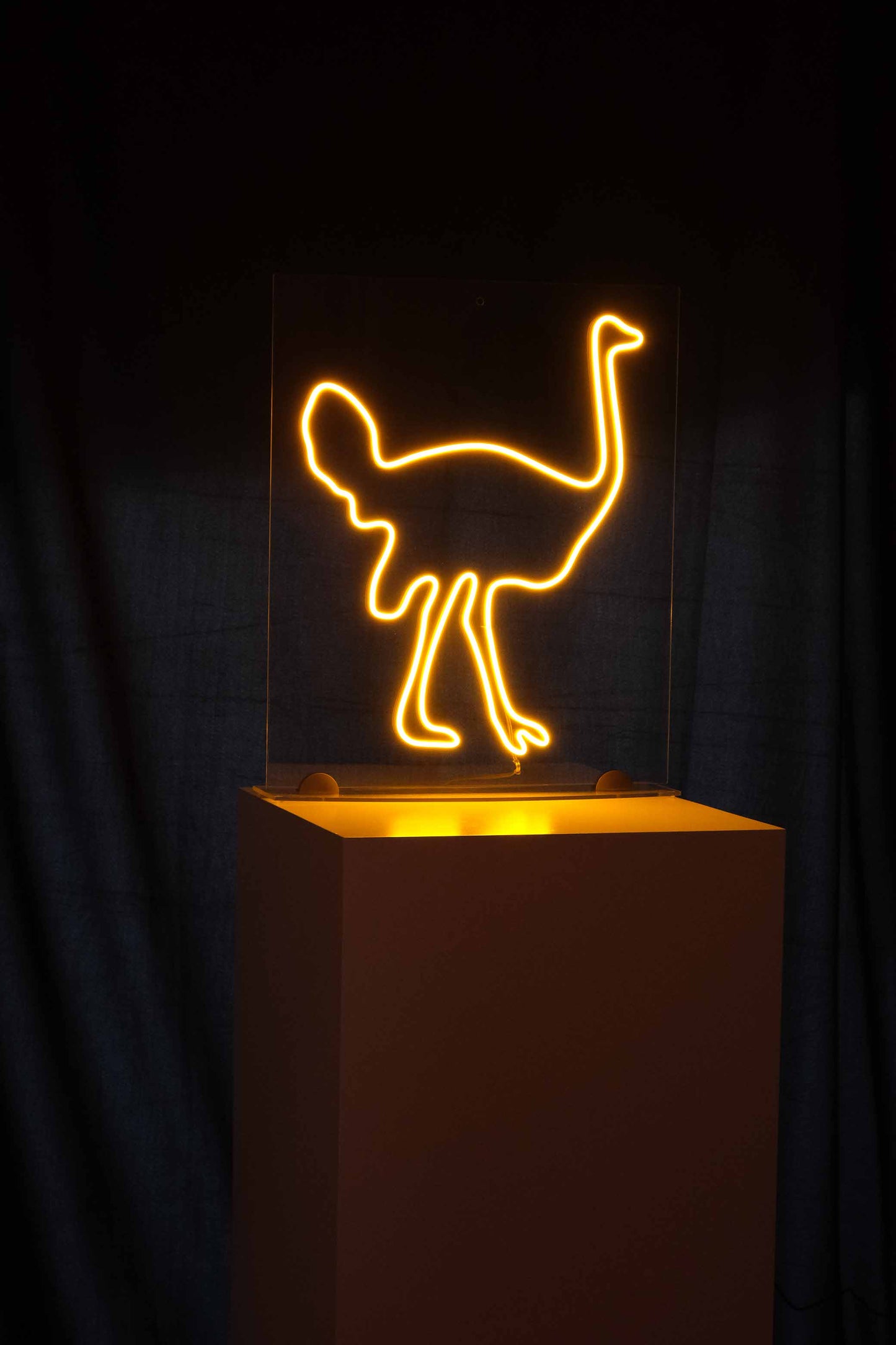 OSTRICH.STATUE/PAINTING LIGHT